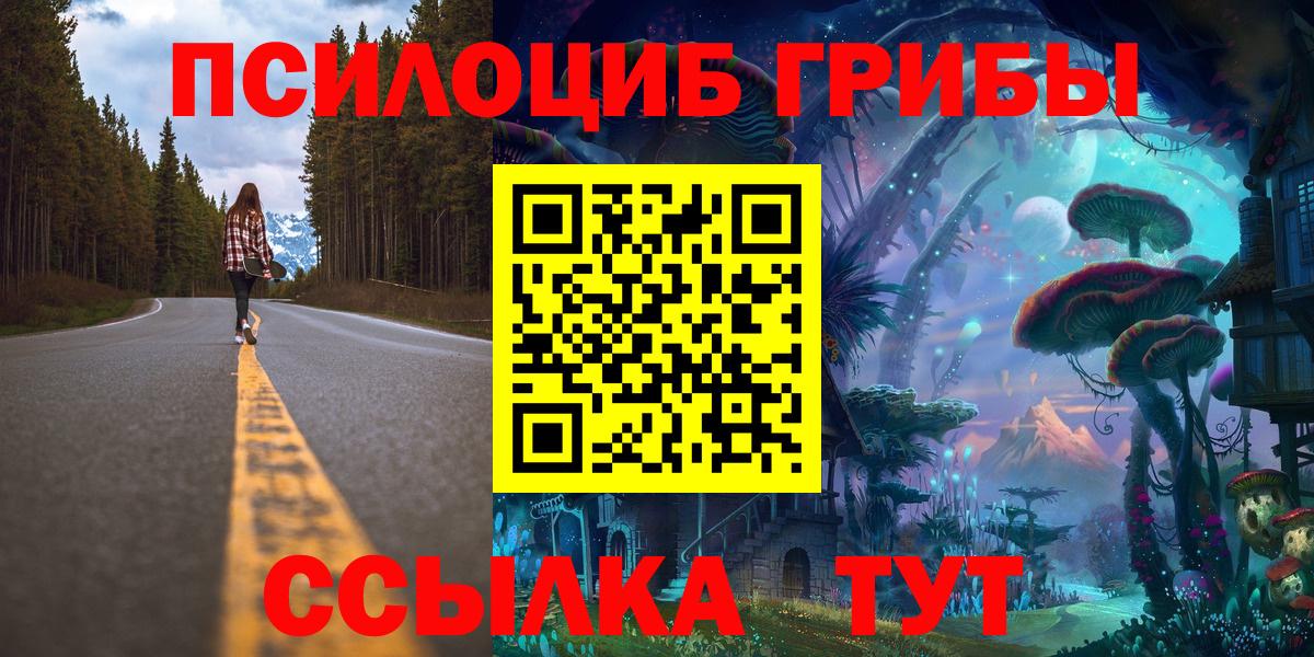 Псилоцибиновые грибы Psilocybe Алапаевск