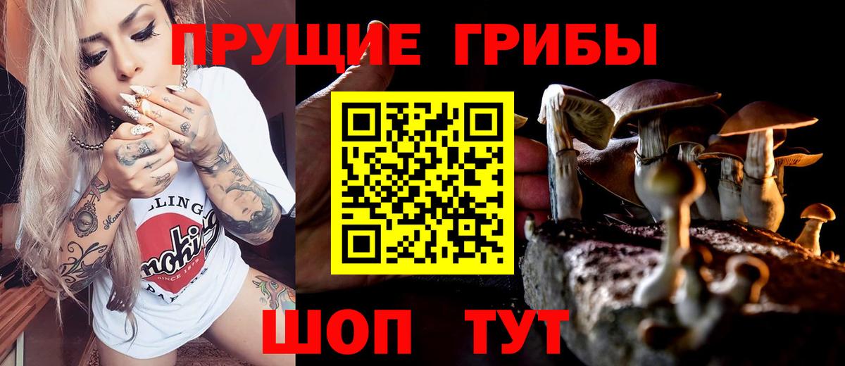 Галлюциногенные грибы Psilocybe  Вход с VPN  Алапаевск 
